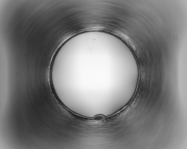 X0000096451186200802141506