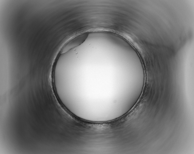 X0000096451189200802141506