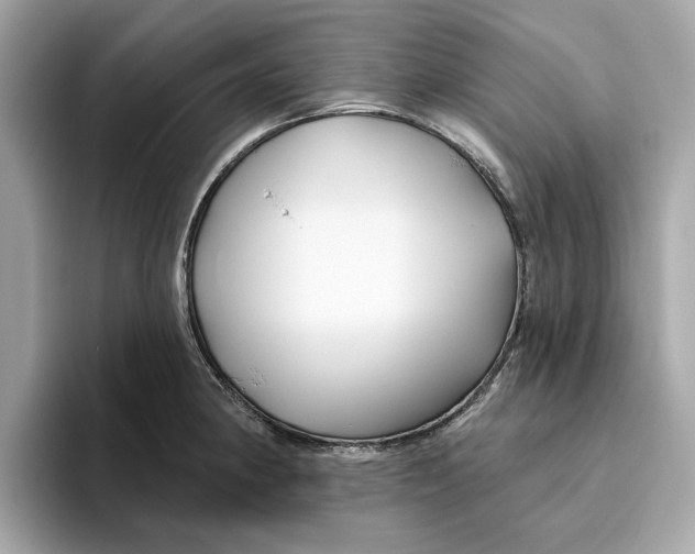 X0000096451190200802141506