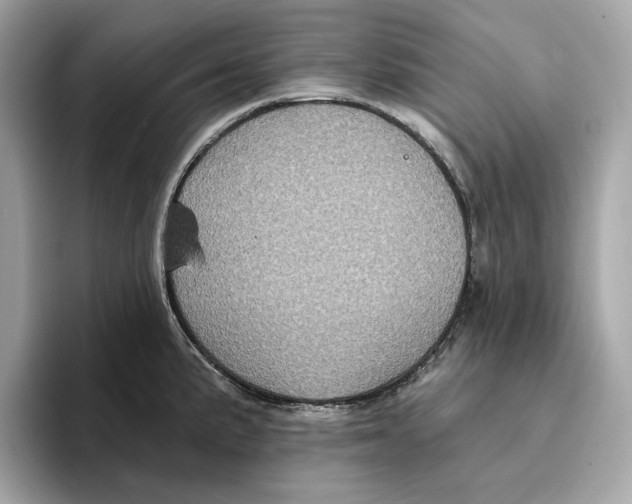 X0000096451191200802141506