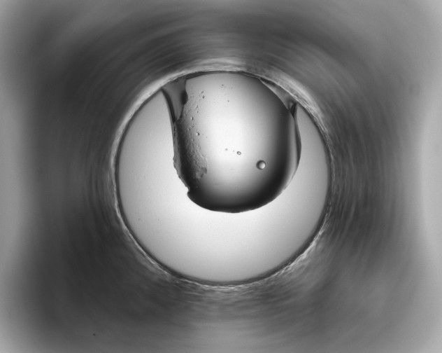 X0000096451192200802141506