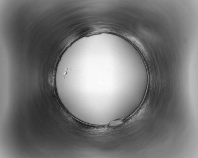 X0000096451193200802141506