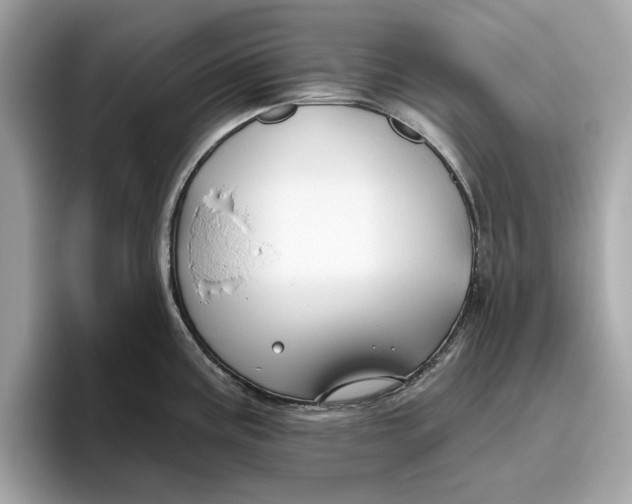 X0000096451195200802141506