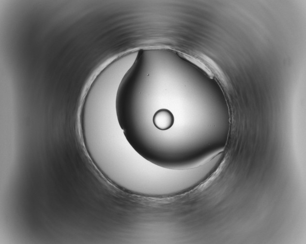 X0000096451196200802141506