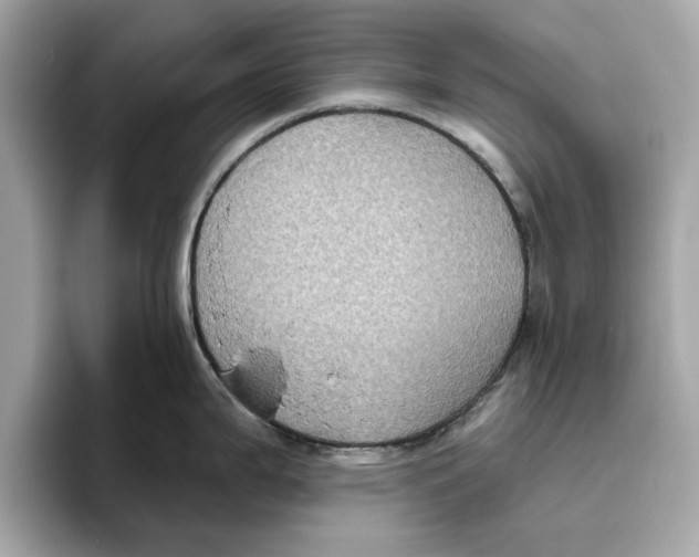 X0000096451199200802141506