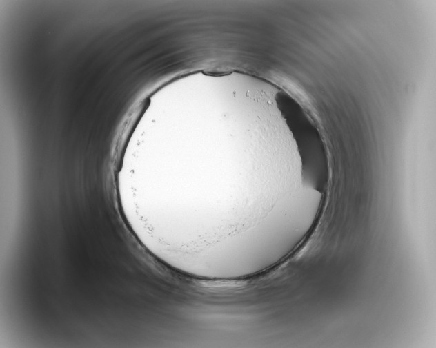 X0000096451200200802141506