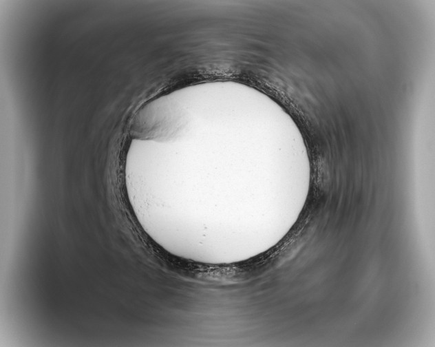 X0000096451201200802141505