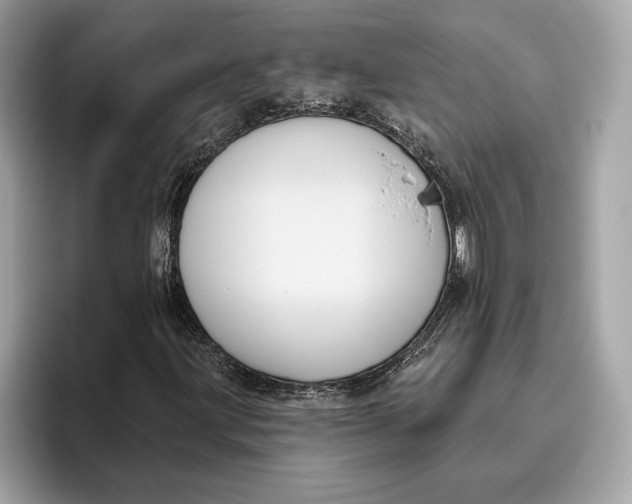 X0000096451203200802141505