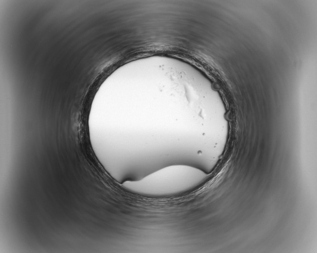 X0000096451210200802141505