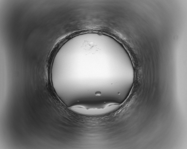 X0000096451214200802141505