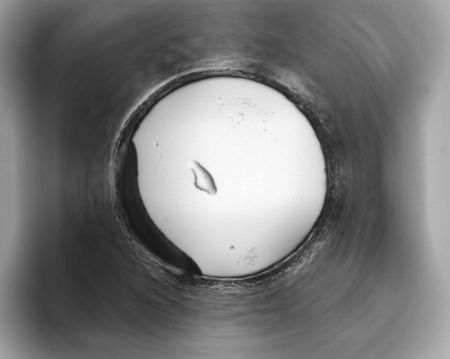 X0000096451216200802141505