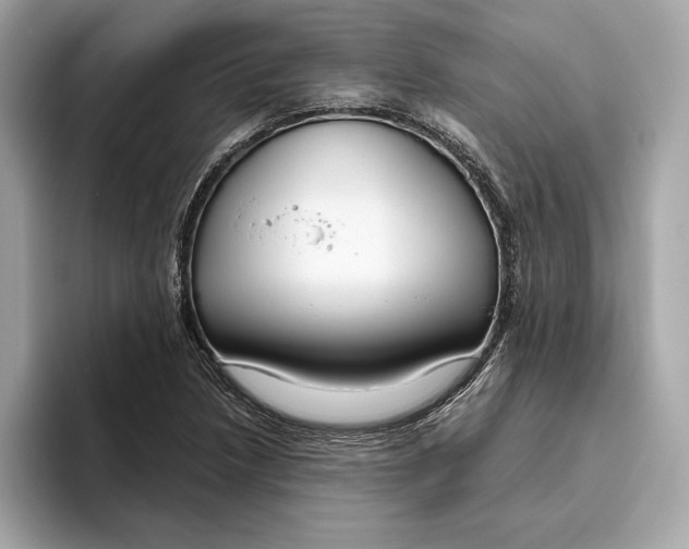 X0000096451218200802141505