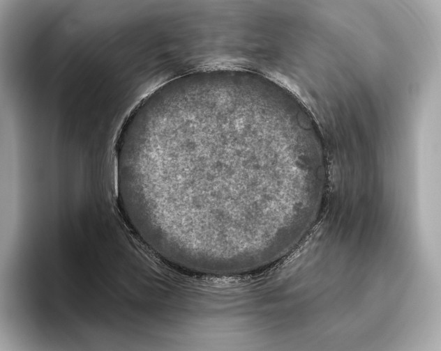 X0000096451219200802141505