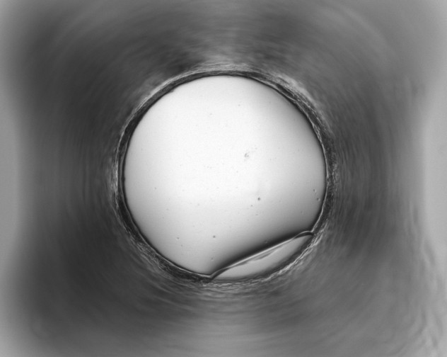 X0000096451220200802141505