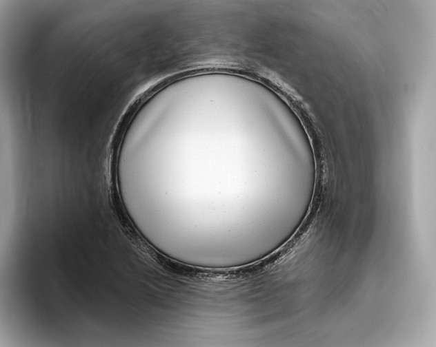 X0000096451222200802141505