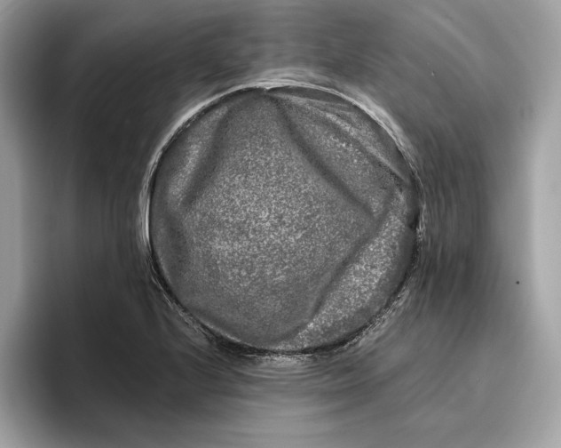 X0000096451224200802141505