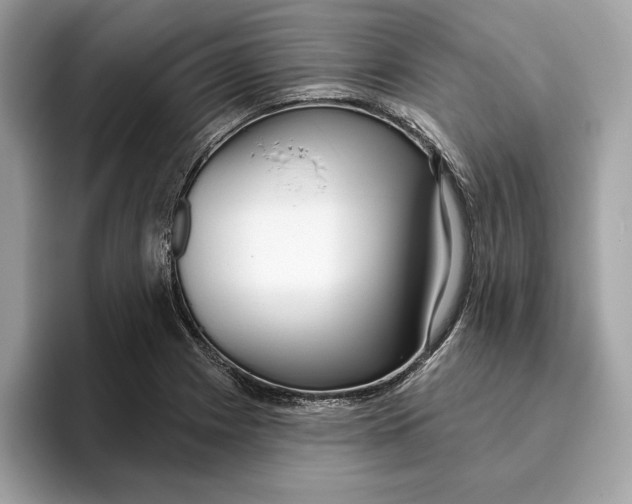 X0000096451225200802141505