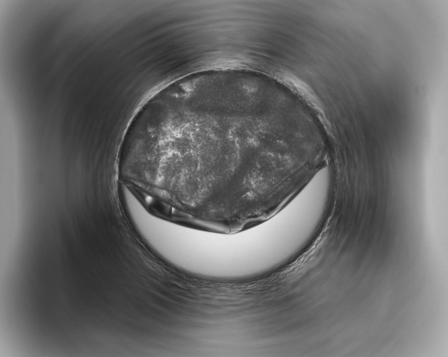 X0000096451226200802141505