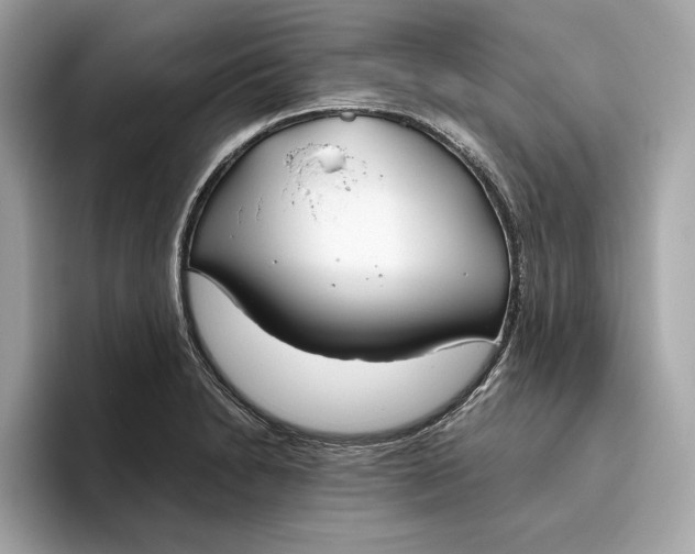 X0000096451230200802141505