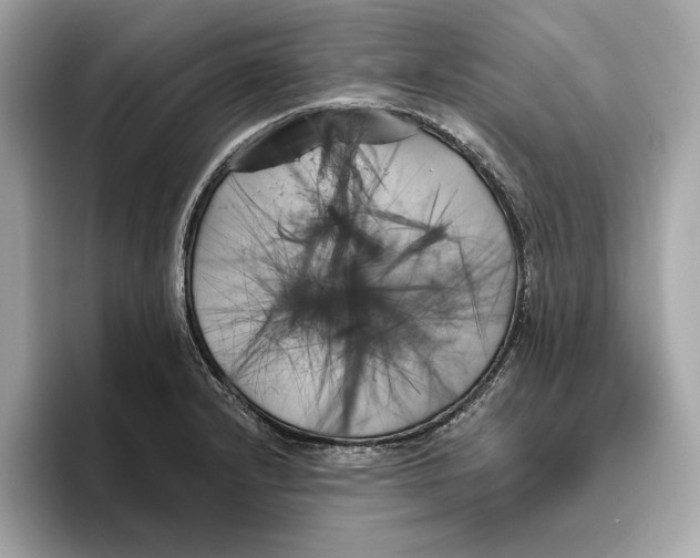 X0000096451232200802141506