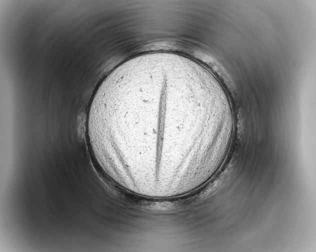 X0000096451233200802141506