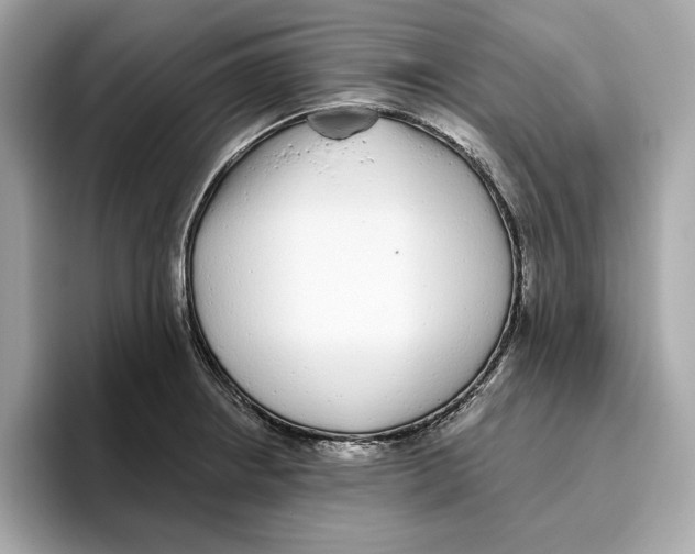 X0000096451234200802141506