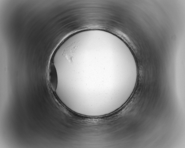 X0000096451236200802141506