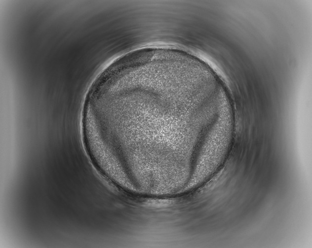 X0000096451237200802141506