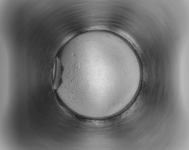 X0000096451241200802141506