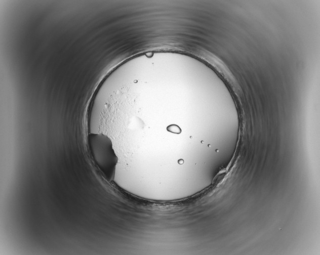 X0000096451242200802141506