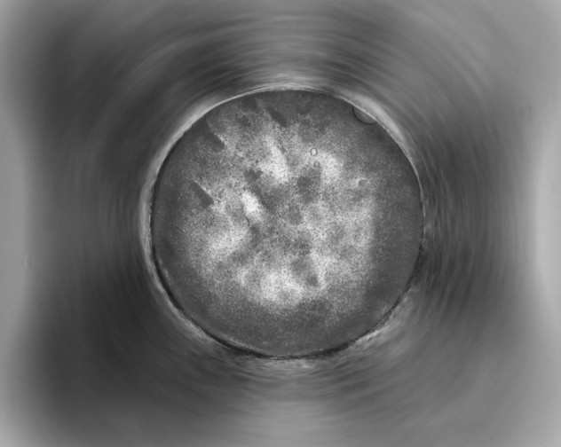 X0000096451243200802141506