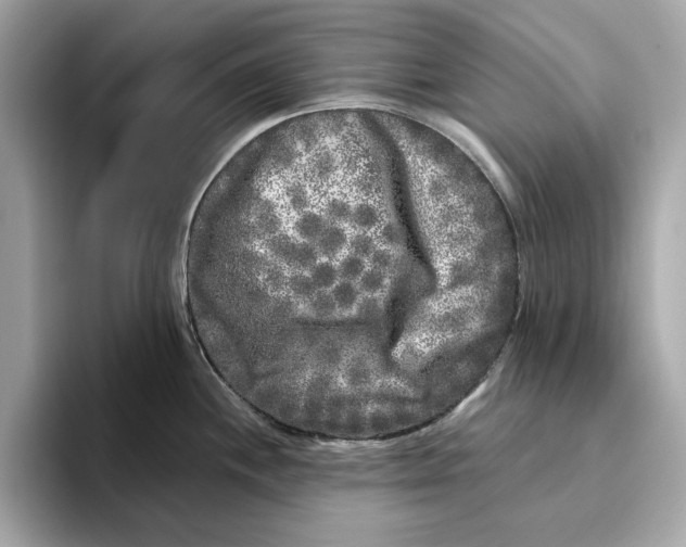 X0000096451244200802141506