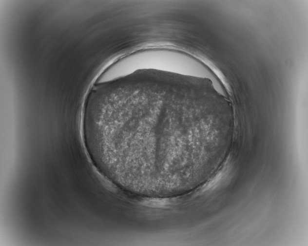 X0000096451245200802141506