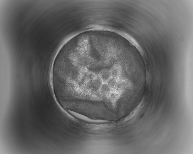 X0000096451247200802141506