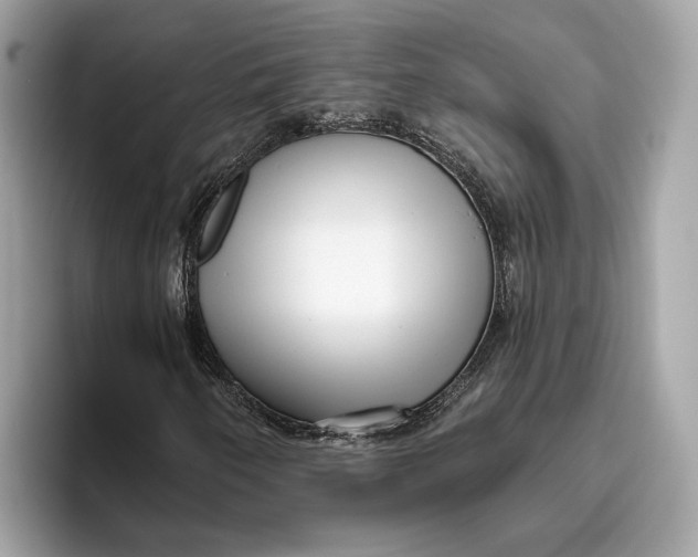 X0000096451250200802141505