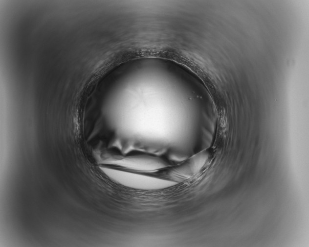 X0000096451252200802141505