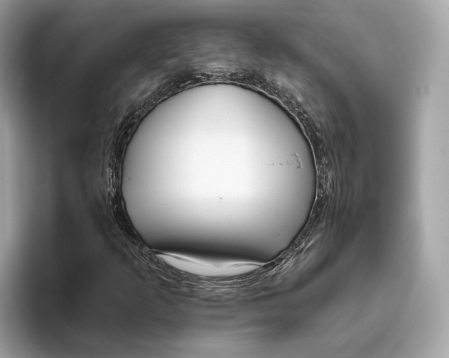 X0000096451253200802141505