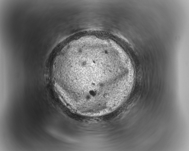 X0000096451255200802141505