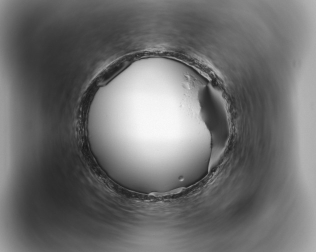 X0000096451256200802141505