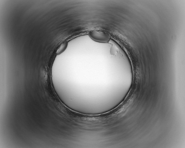 X0000096451257200802141505