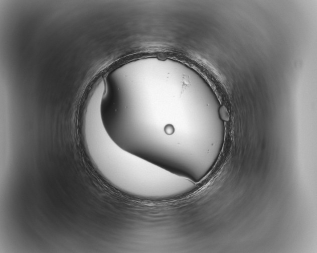 X0000096451261200802141505