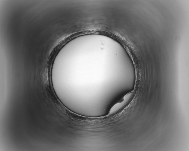 X0000096451262200802141505