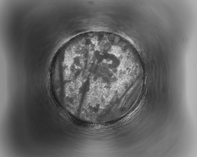 X0000096451263200802141505