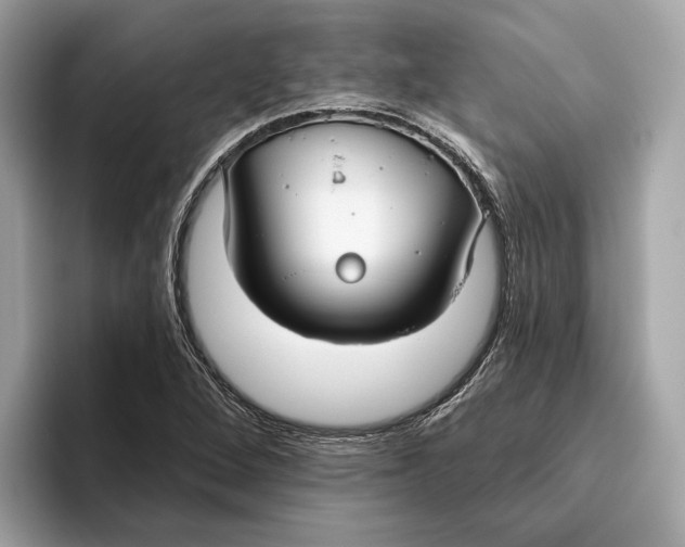 X0000096451264200802141505