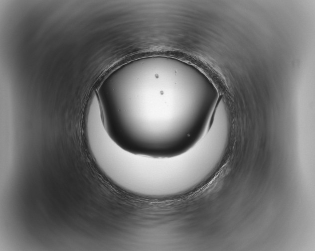 X0000096451265200802141505