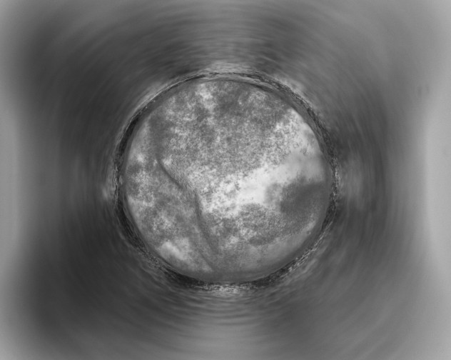 X0000096451266200802141505