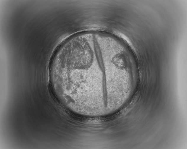 X0000096451267200802141505