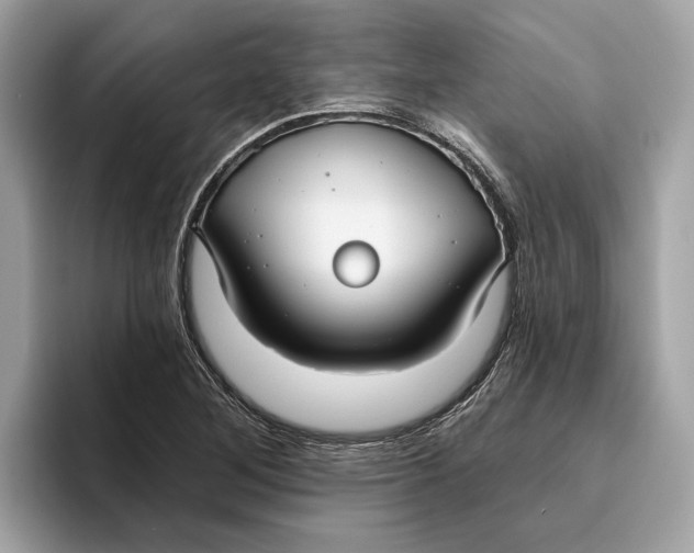 X0000096451268200802141505