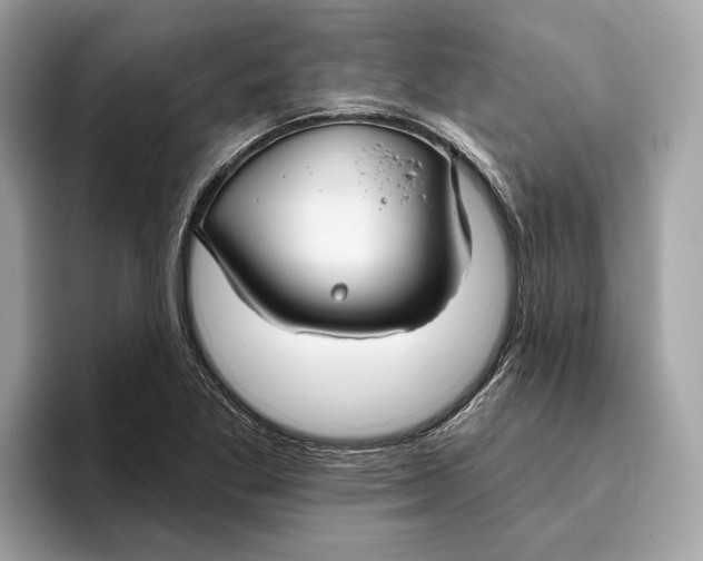 X0000096451269200802141505