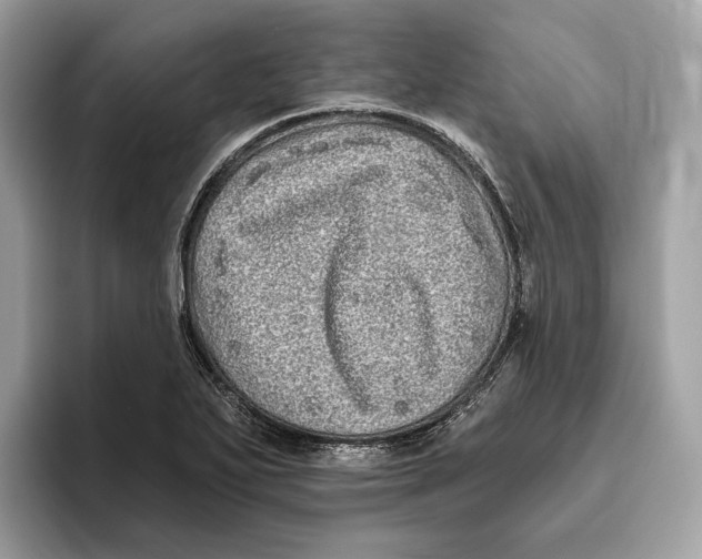 X0000096451271200802141505